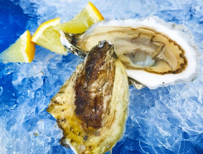 Great Whites Cape Cod Oyster 100 ct Euclid Fish Market