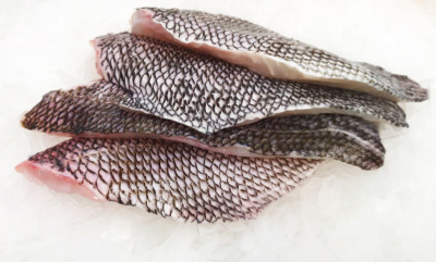Atlantic black bass fillets sold by Euclid Fish Company near Mentor, Ohio
