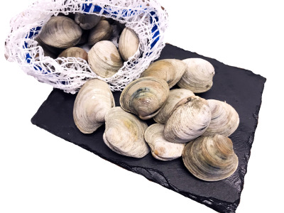 Sea raised clams