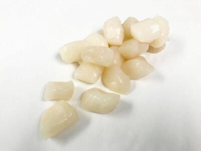 Wild bay scallops sold by Euclid Fish Market, fresh fish market near Cleveland, Ohio